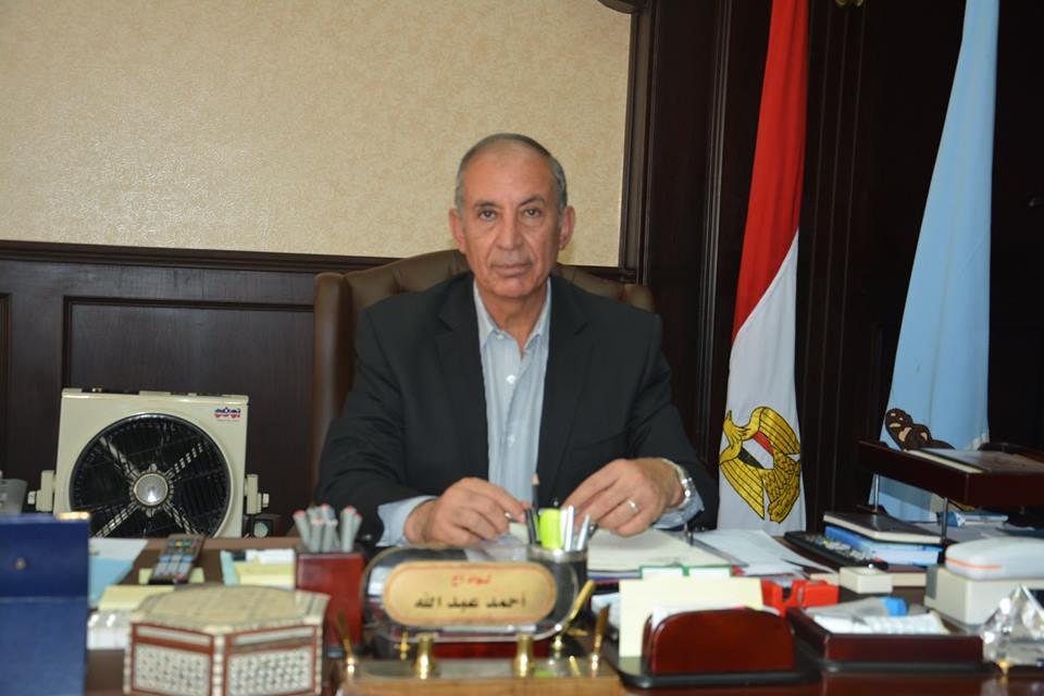 محافظ البحر الأحمر: 50 ألف جنيه غرامة إزعاج “الدلافين”