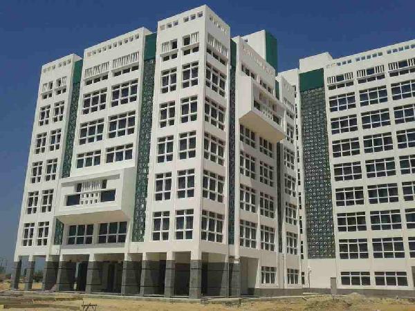 فصل 3 طلاب من جامعة دمنهور وإنذار 3 فتيات