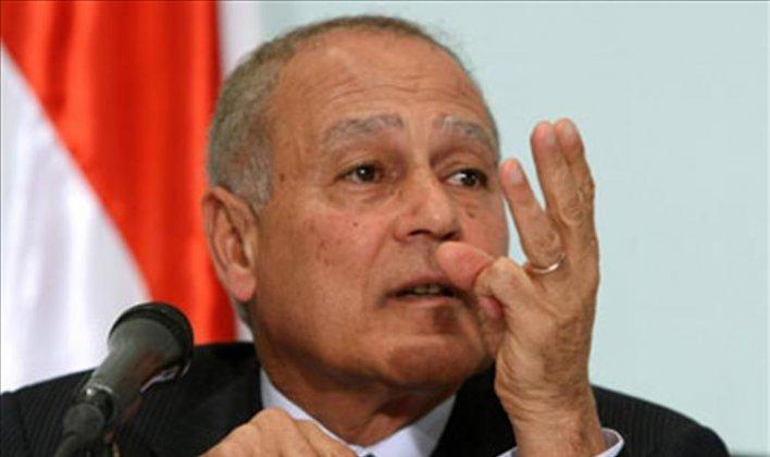 أبو الغيط: “25 يناير” تدمير عربي وليست ربيع عربي