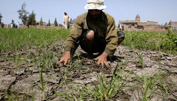 خبراء لـ”رصد”: 3 كوارث بيئية تننظر مصر جراء التغير المناخي