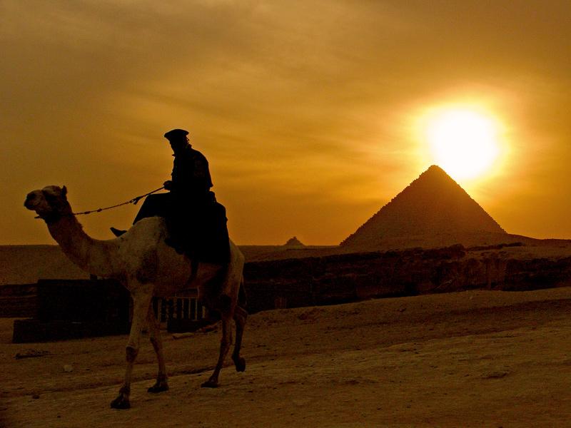 الأخيرة في: التعليم.. التلوث.. سيادة القانون.. ترتيب مصر عالميًا 2016