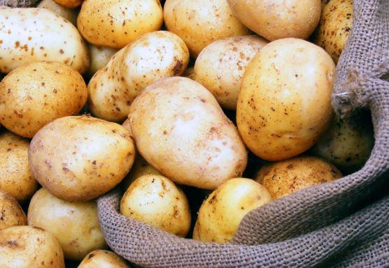 بعد مساهمة مصر في انتصار “بشار”.. روسيا ترفع الحظر عن البطاطس