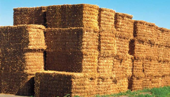 أمن أسيوط يضبط طنين من العلف الحيواني منتهي الصلاحية في أسيوط