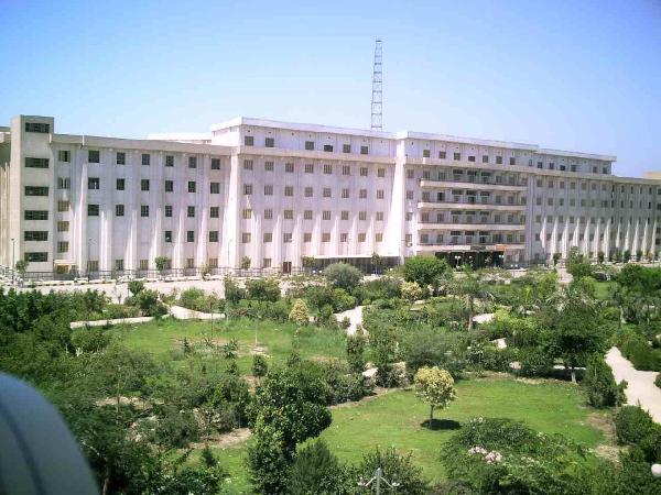 فصل 7 طلاب بجامعة “بني سويف” فصلًا نهائيًا