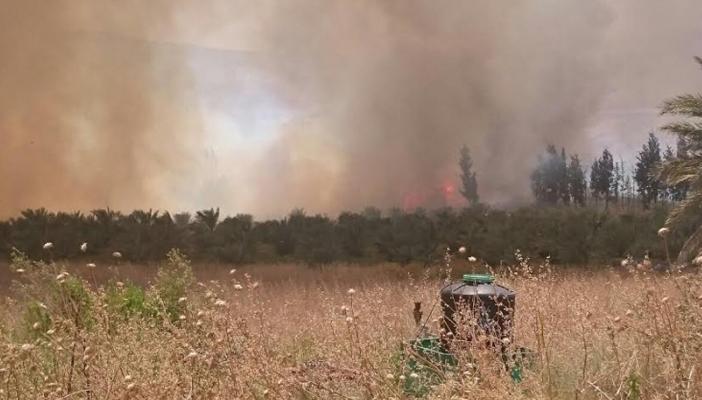 طائرات إسرائيلية تتلف محاصيل زراعية بمبيدات حارقة في غزة