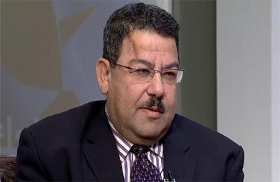 كيف تشوِّه السلطوية قيمة المؤسسية؟ـ د.سيف عبد الفتاح