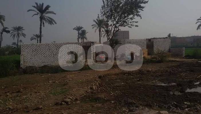 تمدد في البناء على الأراضي الزراعية بقرى بني سويف