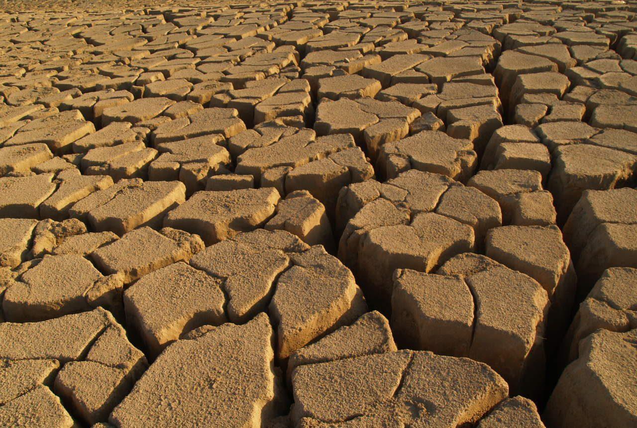 “الأرض ناشفة”.. مشروع الـ 1.5 مليون فدان يتهاوى بسبب قلة المياه