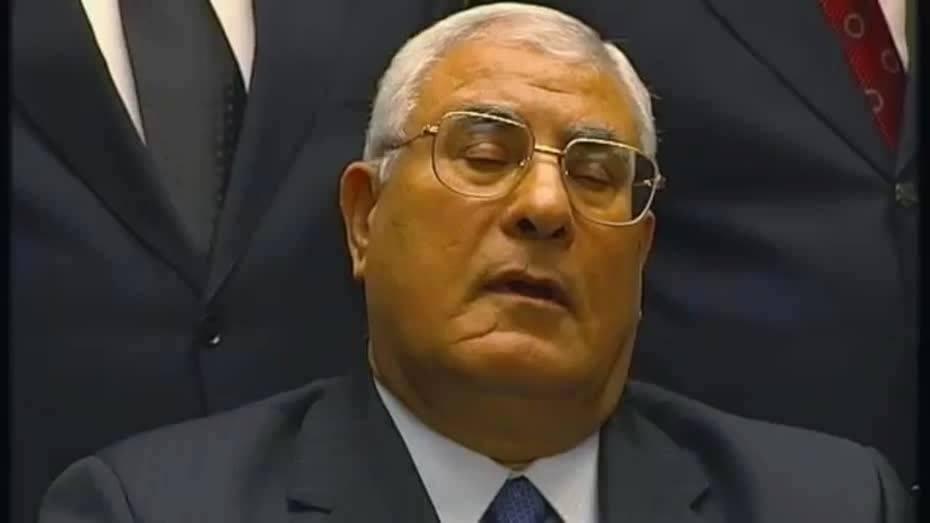 المستشار عدلي منصور يوافق على تعيينه بمجلس النواب