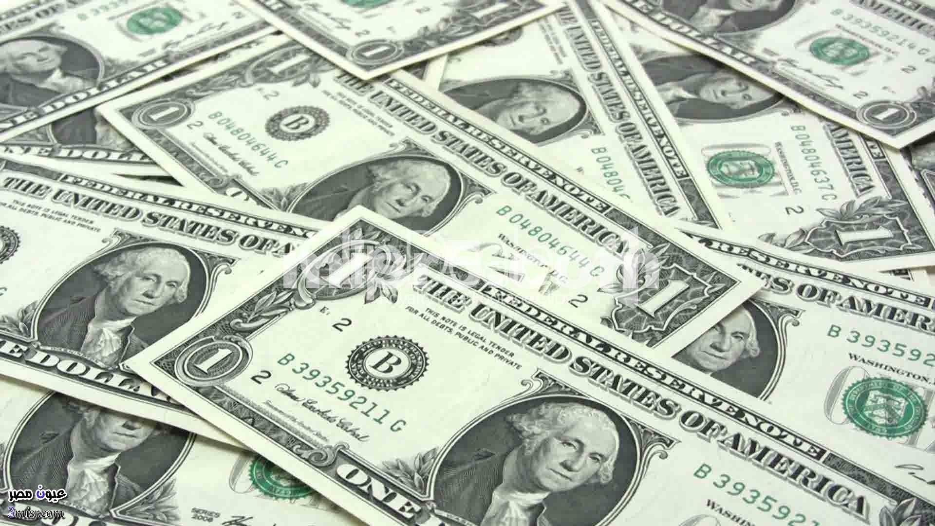 استقرار سعر الدولار مسجلًا 19.30 جنيهًا للبيع