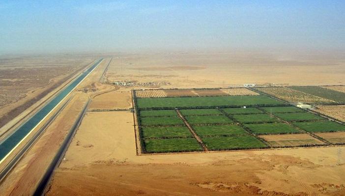 خبراء لـ”رصد”: مشروع “المليون فدان” يقضي على المياه الجوفية