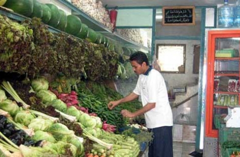 رجال الأعمال رفع الكهرباء يرفع أسعار الغذاء بمصر - وادى مصر