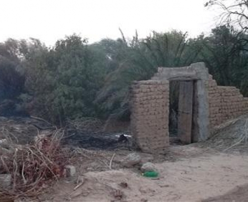 50 ألف جنيه خسائر حريق مزرعة بالوادي الجديد