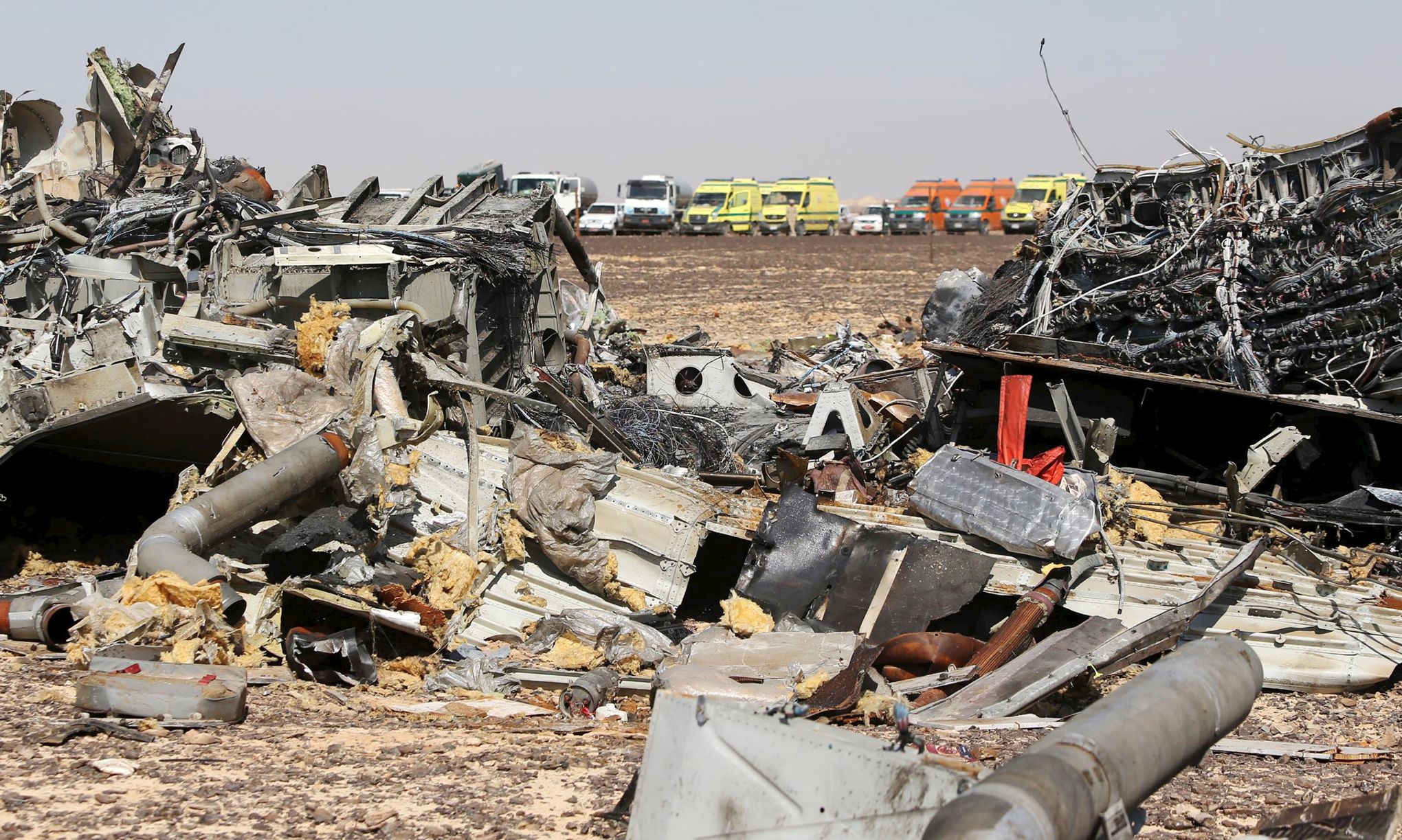 фото погибших при крушении самолета в египте