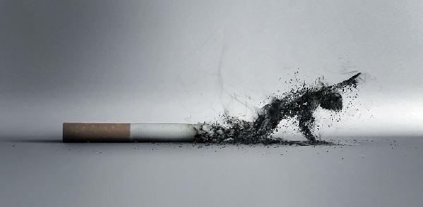 الدراسات:170ألف حالة وفاة سنويا بسبب التدخين بمصر