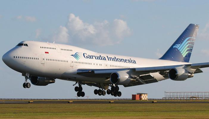 بسبب “نحلة”.. تأخر طائرة إندونيسية عن الإقلاع 4 ساعات