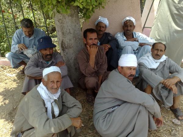 العربي للبحوث: رفع الدعم عن القطن انتكاسة للاقتصاد المصري