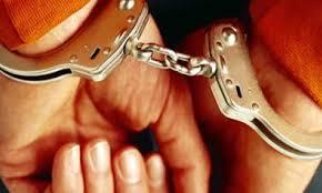 حبس رئيس مباحث مرور بنها وضابط تراخيص بتهمه التزوير