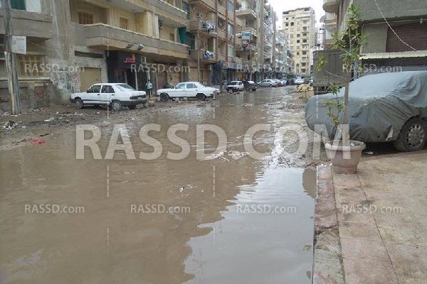 المحلة تعيش بين أكوام القمامة والصرف الصحي.. والحكومة غائبة