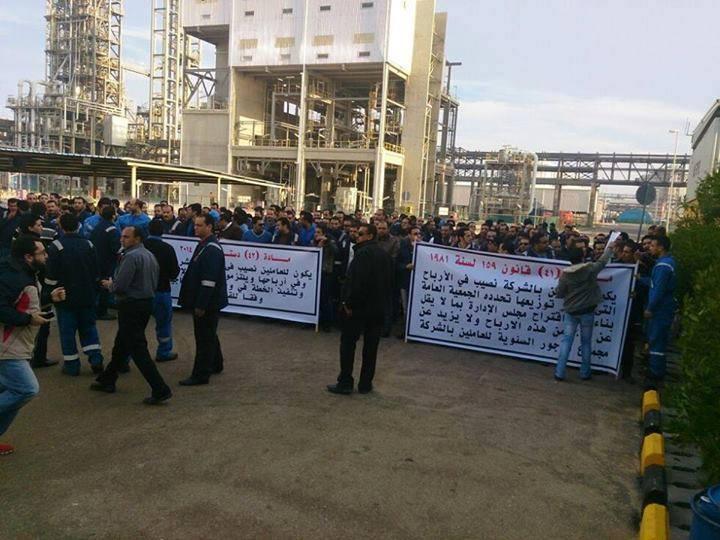 “الخدمات النقابية “تتضامن مع عمال الشركة المصرية ببورسعيد