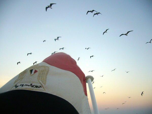 الأغاني الوطنية.. بين “الثورية” و”إرضاء الحاكم”