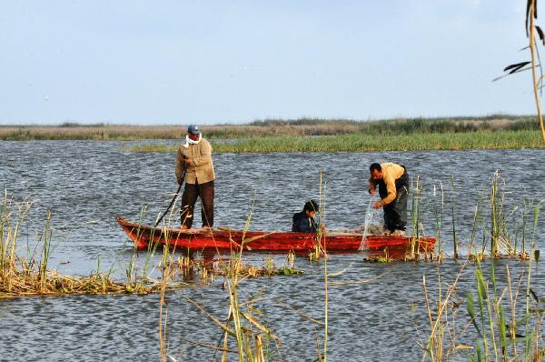 إنقاذ 10 صيادين من الغرق  بكفر الشيخ