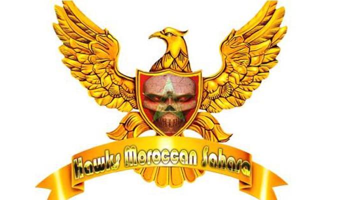 “صقور الصحراء” أول هاكرز عربي يخترق مؤسسات حكومية حساسة –