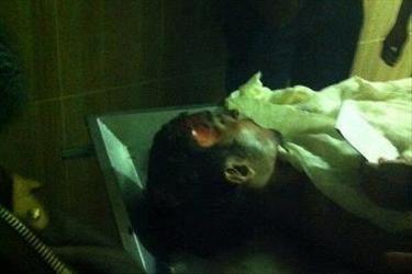 مئات النشطاء يشيعون جثمان “الشافعي” واستمرار الاشتباكات