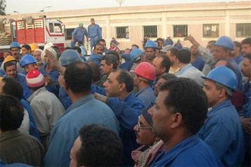 عمال العين السخنة يواصلون اعتصامهم بشأن التعيين