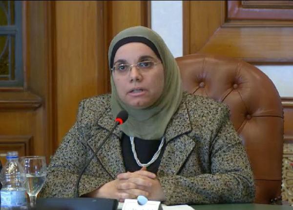 باكينام الشرقاوي :الفترة المقبلة تشهد عودة الاستثمار الأمريكي لمصر