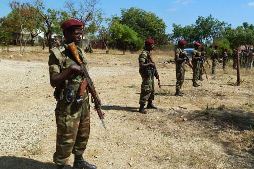 القوات الصومالية تستعيد السيطرة على مدن غرب البلاد