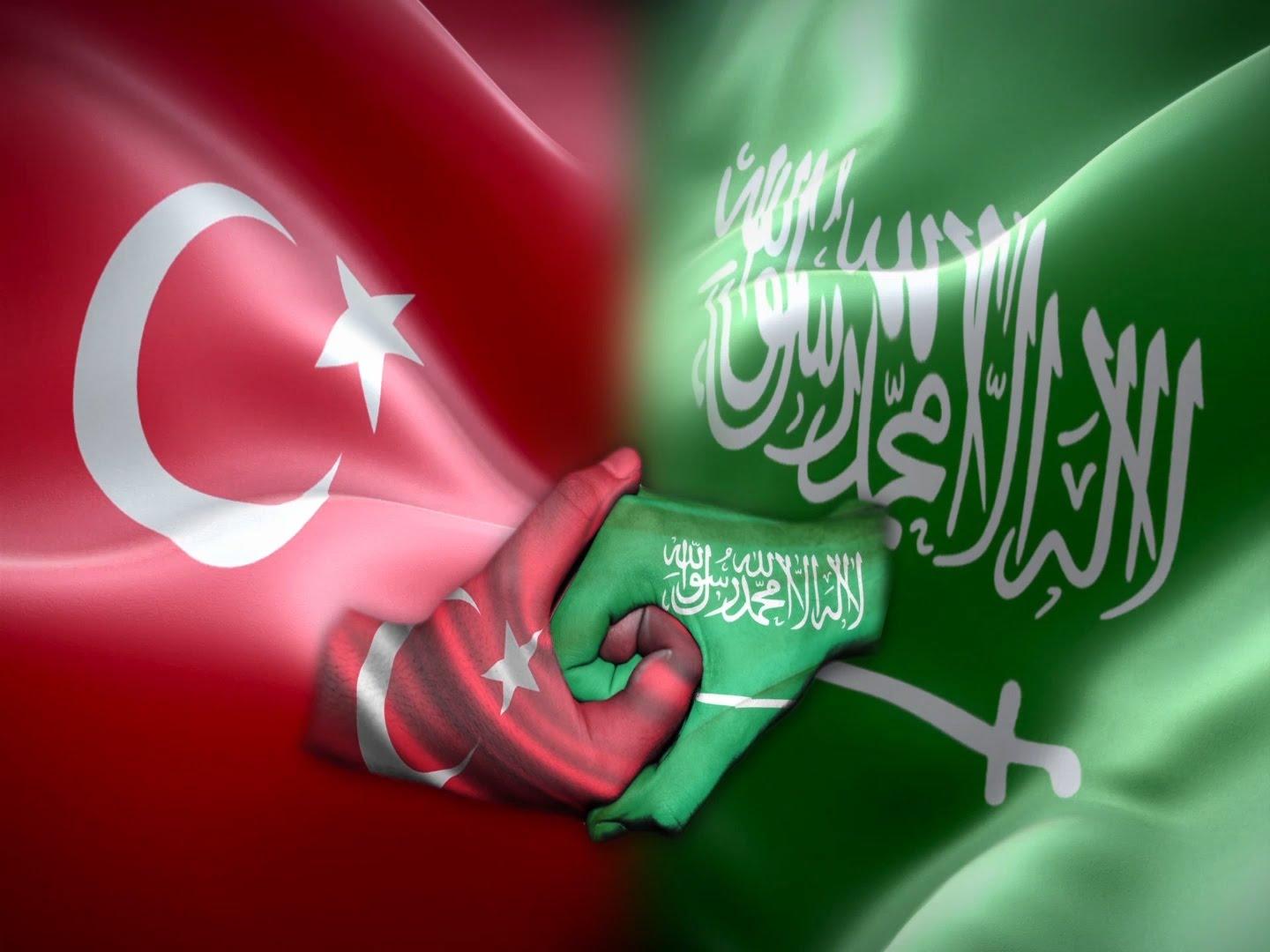 الشنقيطي: تحالف الخليج مع تركيا يسمح بالاستغناء عن الحماية الأميركية