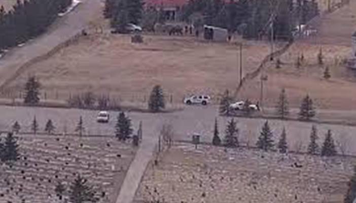 إصابة 4 في حادث إطلاق نار على مقبرة للمسلمين بكندا