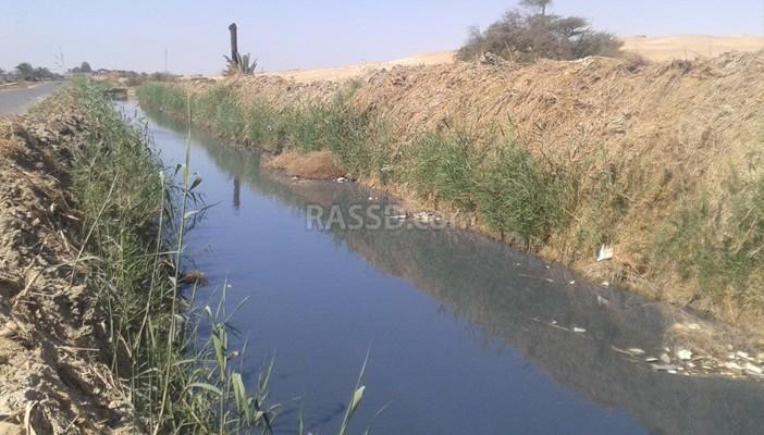 بالصور.. مصانع كوم أوشيم بالفيوم تهلك الحرث والنسل