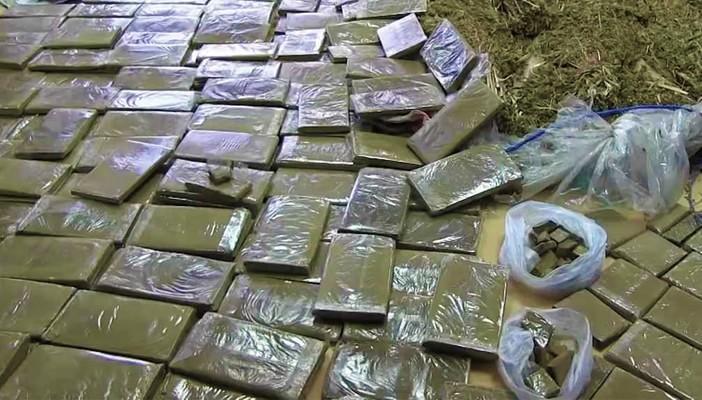 إحباط تهريب 2 طن حشيش على متن سفينة قرب دمياط