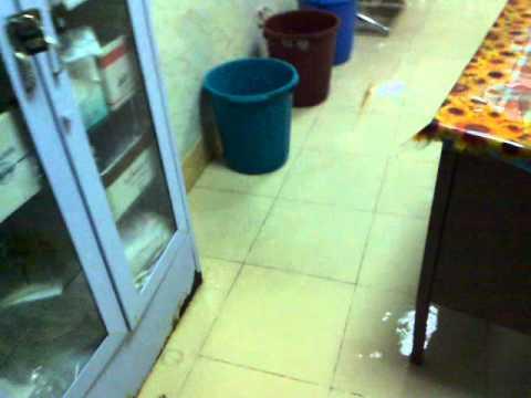 “مبرة أسيوط” تعاني الإهمال.. ومواطن: ارحموا من في الأرض