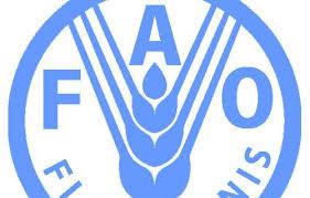 “الفاو” تحذر مصر من خطورة التصحر والتعدي على الأراضي الزراعية