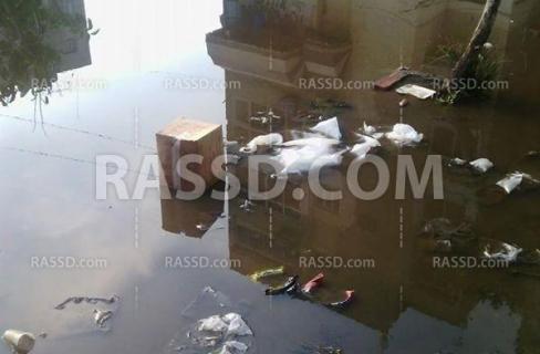 القمامة تغطي شوارع حي الزهور ببورسعيد