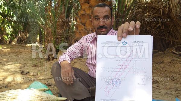 براءة اختراع لـ “علاج العقم” من طلع النخيل بالوادي الجديد