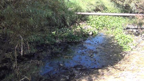 مزارعو نجع حمادي: “مصرف الميه مسدود وبيوتنا هتتخرب”