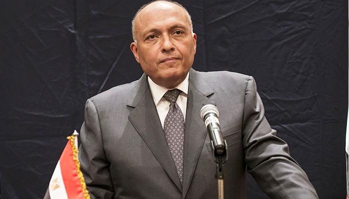 وزير الخارجية: مبادرة مصرية لإنشاء قوة عربية مشتركة