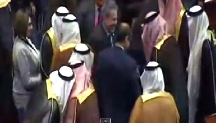 بالفيديو.. عكاشة وحياة الدرديري ضيوف شرف بالقمة العربية