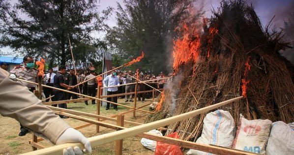 “حشيش للجميع” بأمر السلطات في إندونيسيا