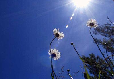 “الأرصاد”: طقس “الثلاثاء” معتدل الحرارة نهاراً بارد ليلاً