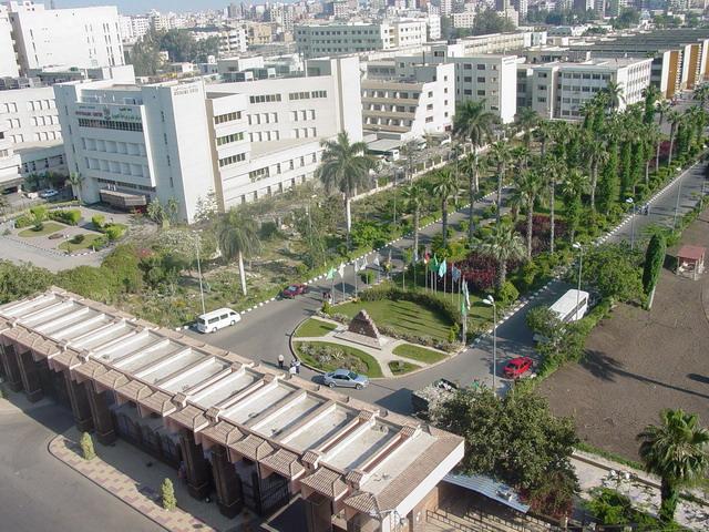 جامعة المنصورة تنفي رفع علم القاعدة خلال تظاهرات الطلاب