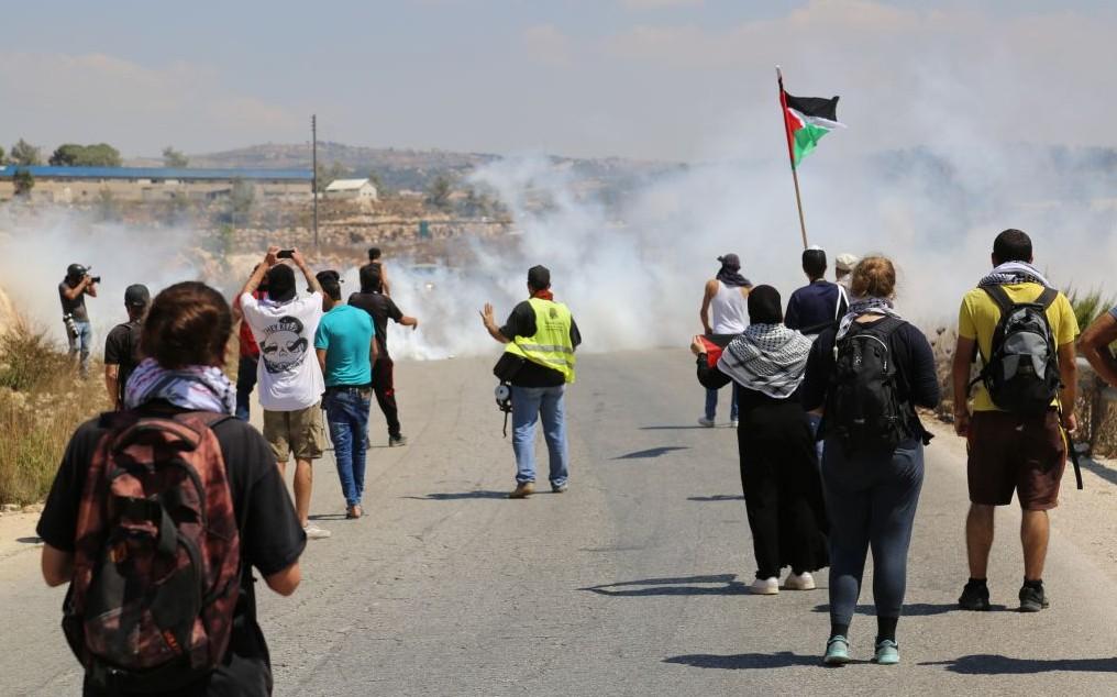 بالفيديو.. ردة فعل مذيعة فلسطينية بعد استفزاز مستوطن لها
