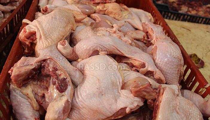 ارتفاع أسعار الدجاج يزيد من أعباء متوسطي الدخل