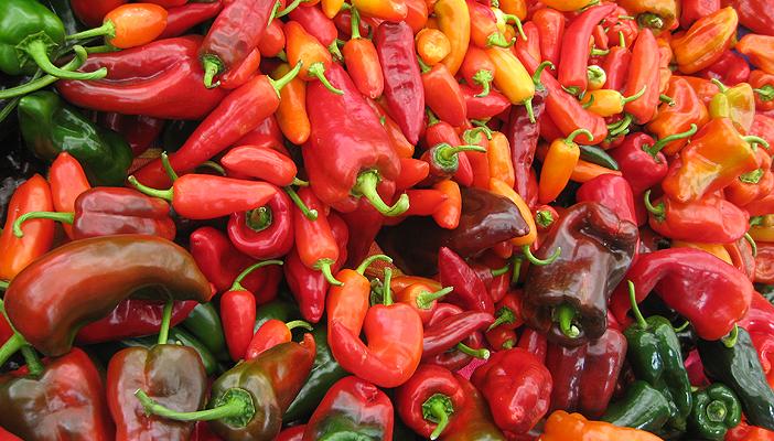 “فلفل الشطة” سلاح جديد للجيش الهندي