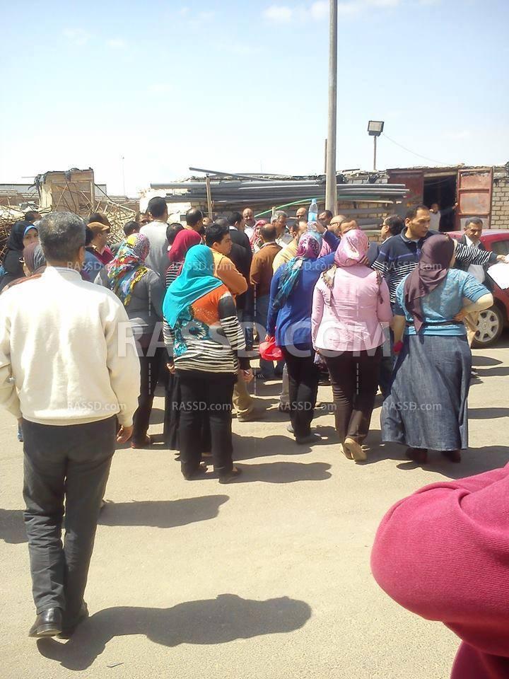 وقفة للعاملين بهيئة الاستثمار بالإسكندرية للمطالبة بصرف مستحقاتهم