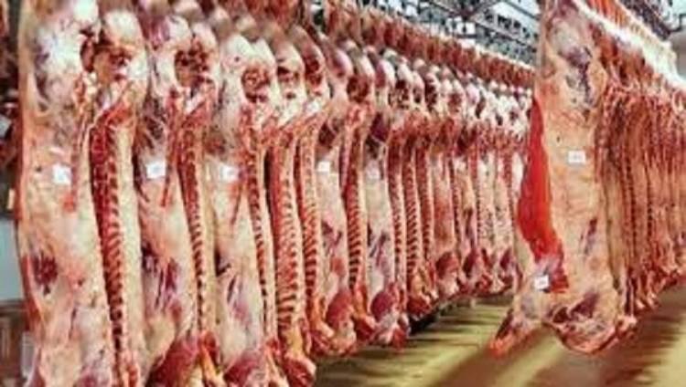 شعبة القصابين: أسعار اللحوم ارتفعت بنسبة 5% بسبب الدولار